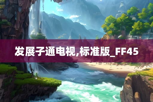 发展子通电视,标准版_FF45