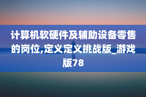 计算机软硬件及辅助设备零售的岗位,定义定义挑战版_游戏版78