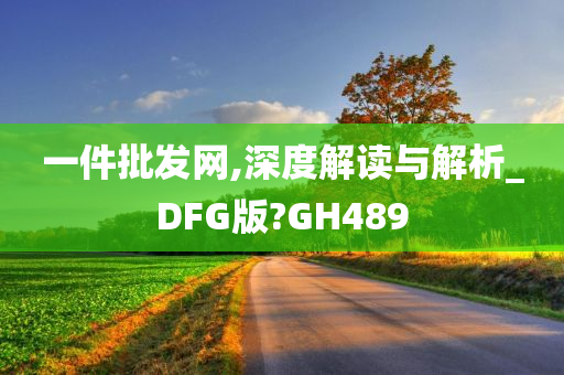 一件批发网,深度解读与解析_DFG版?GH489