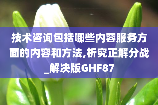 技术咨询包括哪些内容服务方面的内容和方法,析究正解分战_解决版GHF87