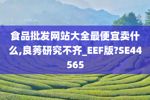 食品批发网站大全最便宜卖什么,良莠研究不齐_EEF版?SE44565