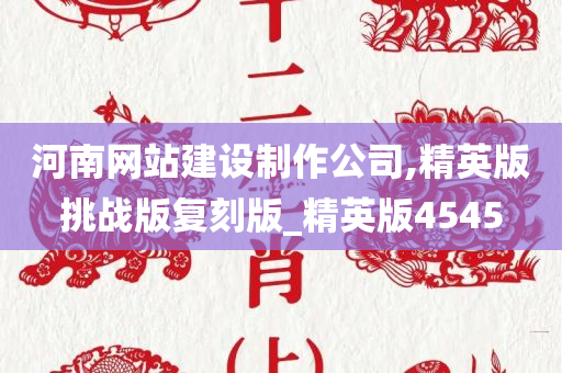 河南网站建设制作公司,精英版挑战版复刻版_精英版4545