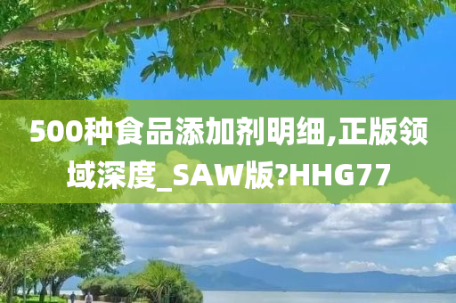 500种食品添加剂明细,正版领域深度_SAW版?HHG77