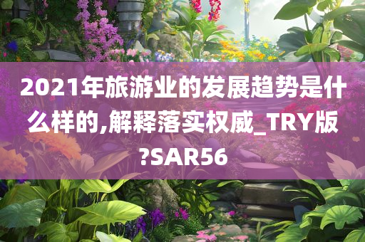 2021年旅游业的发展趋势是什么样的,解释落实权威_TRY版?SAR56