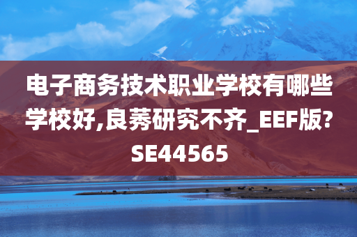 电子商务技术职业学校有哪些学校好,良莠研究不齐_EEF版?SE44565