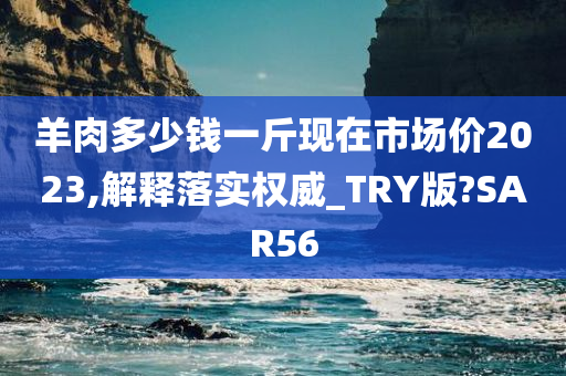 羊肉多少钱一斤现在市场价2023,解释落实权威_TRY版?SAR56