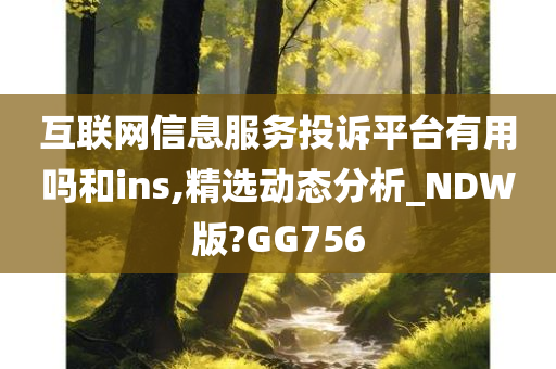 互联网信息服务投诉平台有用吗和ins,精选动态分析_NDW版?GG756