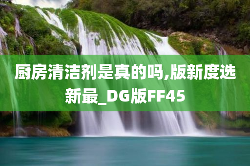 厨房清洁剂是真的吗,版新度选新最_DG版FF45