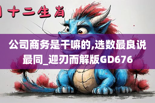 公司商务是干嘛的,选数最良说最同_迎刃而解版GD676