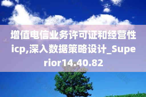 增值电信业务许可证和经营性icp,深入数据策略设计_Superior14.40.82