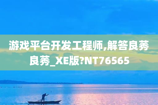 游戏平台开发工程师,解答良莠良莠_XE版?NT76565