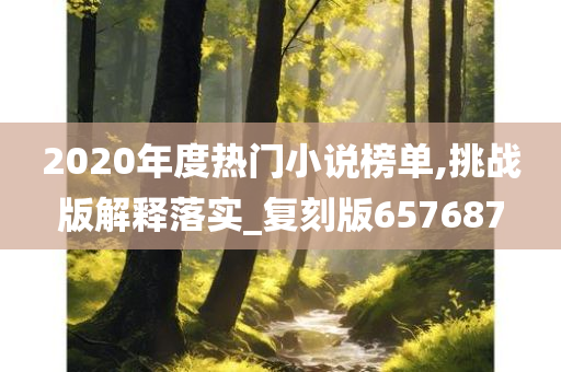 2020年度热门小说榜单,挑战版解释落实_复刻版657687