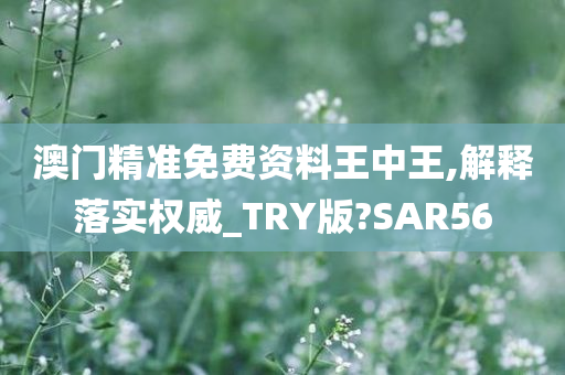 澳门精准免费资料王中王,解释落实权威_TRY版?SAR56