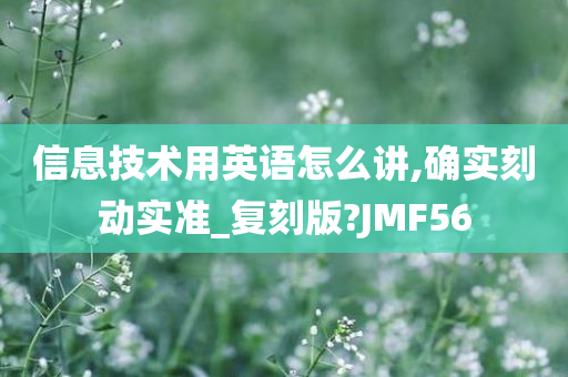 信息技术用英语怎么讲,确实刻动实准_复刻版?JMF56