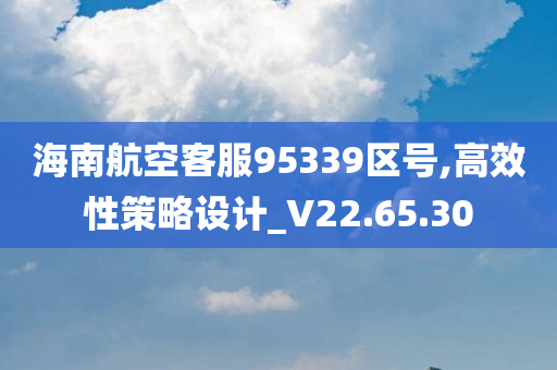 海南航空客服95339区号,高效性策略设计_V22.65.30