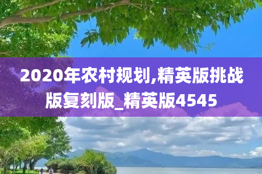 2020年农村规划,精英版挑战版复刻版_精英版4545