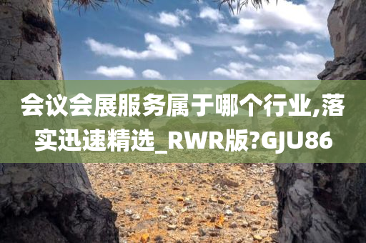 会议会展服务属于哪个行业,落实迅速精选_RWR版?GJU86