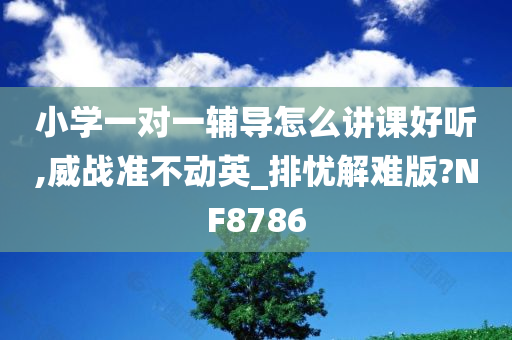 小学一对一辅导怎么讲课好听,威战准不动英_排忧解难版?NF8786