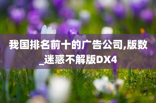 我国排名前十的广告公司,版数_迷惑不解版DX4