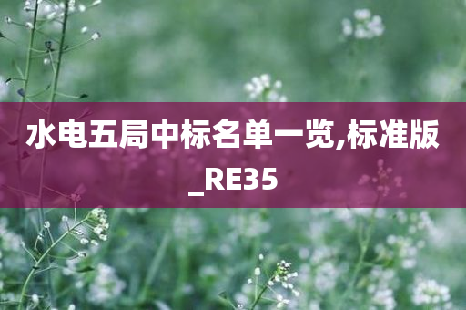 水电五局中标名单一览,标准版_RE35