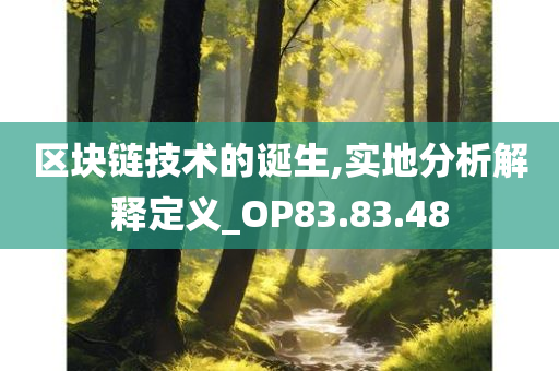 区块链技术的诞生,实地分析解释定义_OP83.83.48