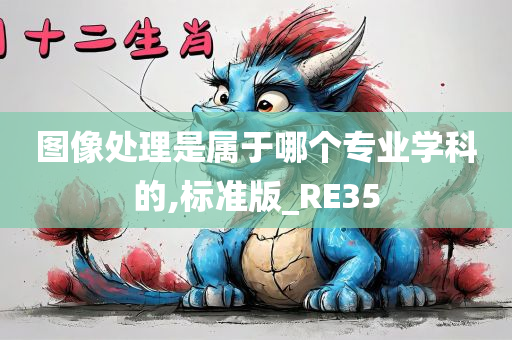 图像处理是属于哪个专业学科的,标准版_RE35