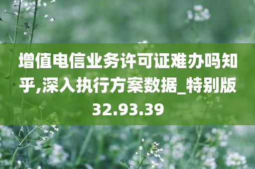 增值电信业务许可证难办吗知乎,深入执行方案数据_特别版32.93.39