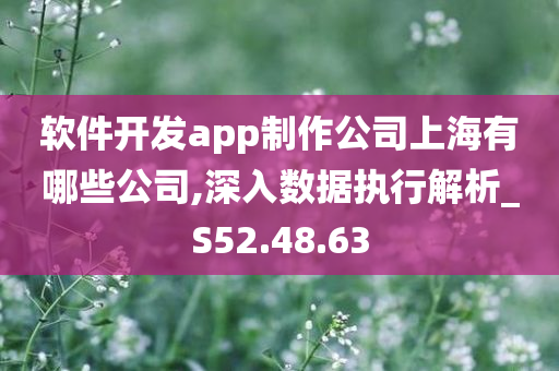 软件开发app制作公司上海有哪些公司,深入数据执行解析_S52.48.63