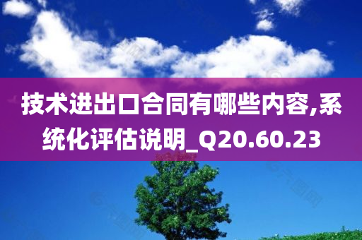 技术进出口合同有哪些内容,系统化评估说明_Q20.60.23