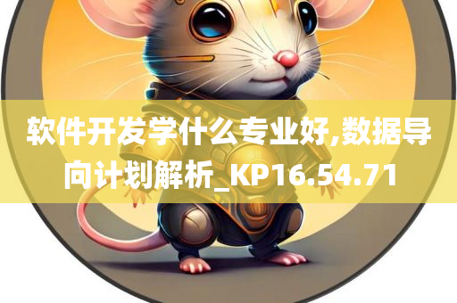 软件开发学什么专业好,数据导向计划解析_KP16.54.71