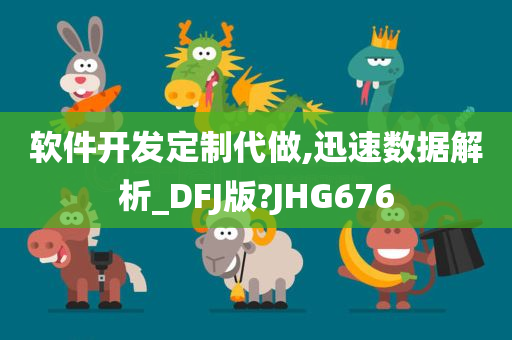 软件开发定制代做,迅速数据解析_DFJ版?JHG676