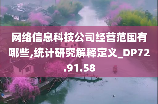 网络信息科技公司经营范围有哪些,统计研究解释定义_DP72.91.58