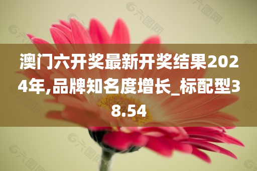 澳门六开奖最新开奖结果2024年,品牌知名度增长_标配型38.54