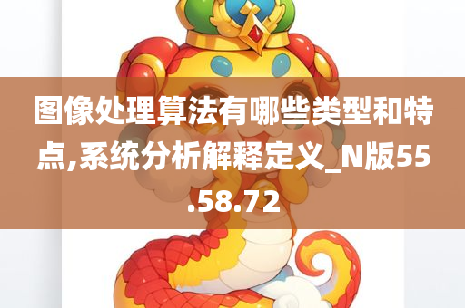 图像处理算法有哪些类型和特点,系统分析解释定义_N版55.58.72