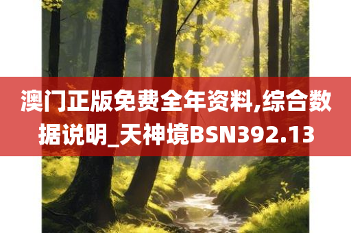 澳门正版免费全年资料,综合数据说明_天神境BSN392.13