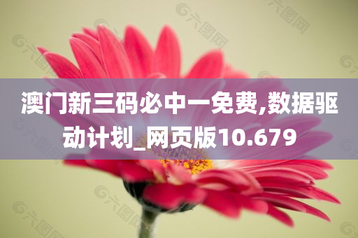 澳门新三码必中一免费,数据驱动计划_网页版10.679