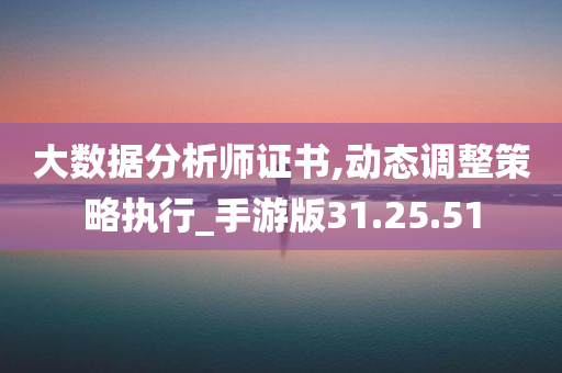 大数据分析师证书,动态调整策略执行_手游版31.25.51