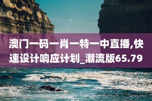 澳门一码一肖一特一中直播,快速设计响应计划_潮流版65.790