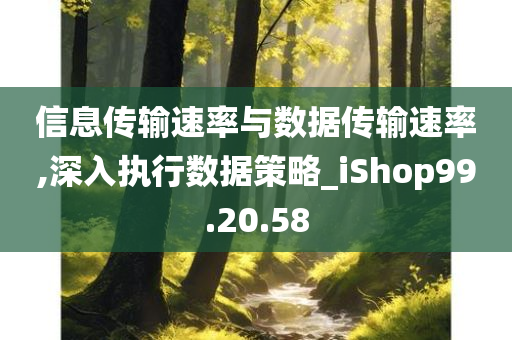 信息传输速率与数据传输速率,深入执行数据策略_iShop99.20.58