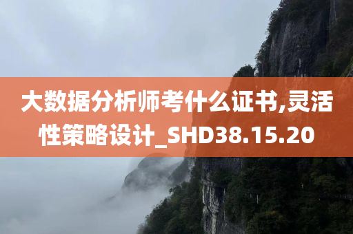 大数据分析师考什么证书,灵活性策略设计_SHD38.15.20