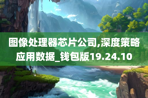 图像处理器芯片公司,深度策略应用数据_钱包版19.24.10