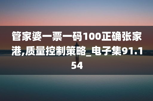 管家婆一票一码100正确张家港,质量控制策略_电子集91.154