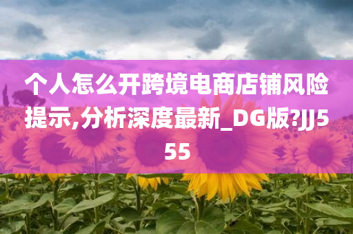 个人怎么开跨境电商店铺风险提示,分析深度最新_DG版?JJ555