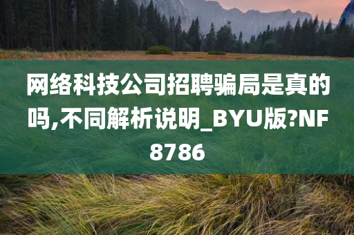 网络科技公司招聘骗局是真的吗,不同解析说明_BYU版?NF8786