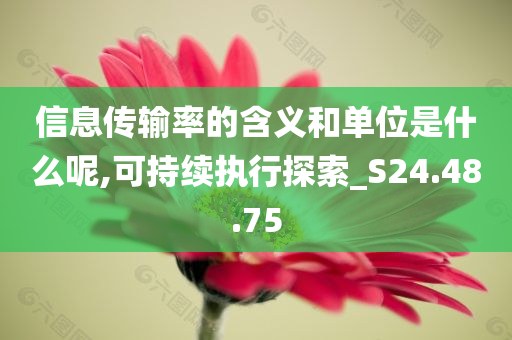 信息传输率的含义和单位是什么呢,可持续执行探索_S24.48.75