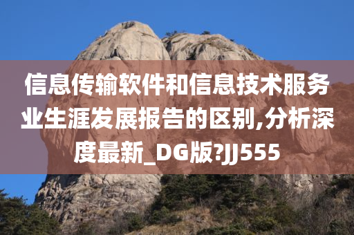 信息传输软件和信息技术服务业生涯发展报告的区别,分析深度最新_DG版?JJ555