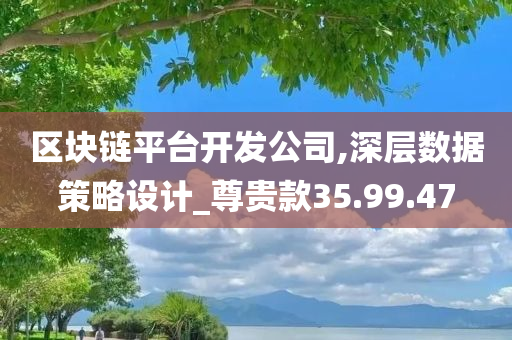 区块链平台开发公司,深层数据策略设计_尊贵款35.99.47