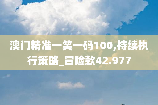 澳门精准一笑一码100,持续执行策略_冒险款42.977