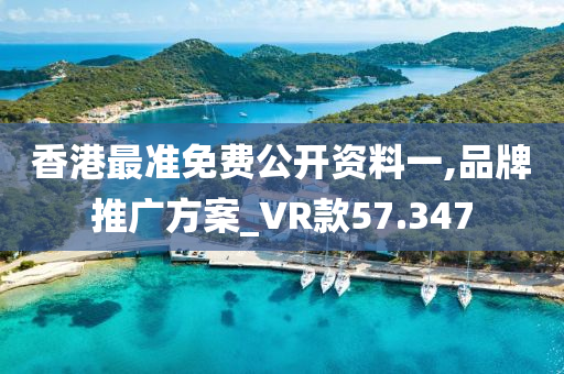 香港最准免费公开资料一,品牌推广方案_VR款57.347