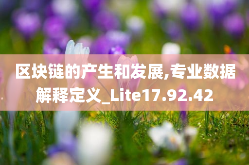 区块链的产生和发展,专业数据解释定义_Lite17.92.42